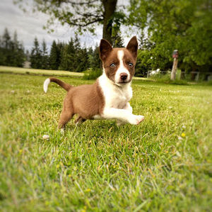 Meet your Posher, Mackenzie